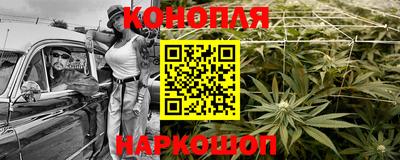 прущие крисы Малгобек