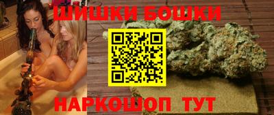 прущие крисы Малгобек