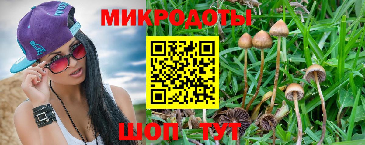 сколько стоит  Вход с VPN  Ефремов  Галлюциногенные грибы Psilocybine cubensis 