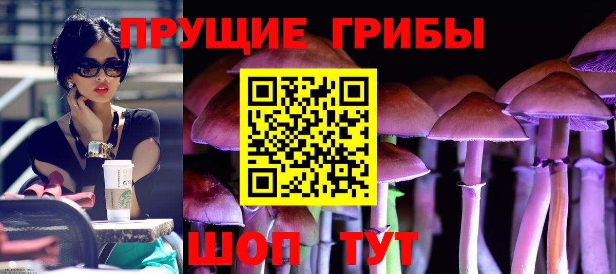 Галлюциногенные грибы GOLDEN TEACHER Ефремов